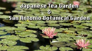 #sanantonio  #garden  #japanese   Japanese Tea Garden & Botanical Garden of San Antonio Texas