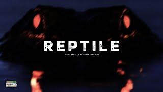 Dancehall Riddim Instrumental 2024 ~ "Reptile"