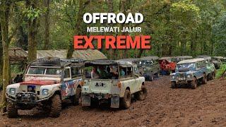 (FULL)MENJELAJAHI HUTAN LEMBANG MENGGUNAKAN MOBIL KLASIK LAND ROVER