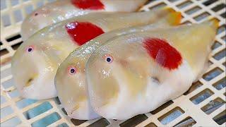 Japanese Street Food - JAPANESE FLAG FISH Okinawa Seafood Japan