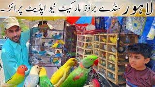 Lahore sunday birds market New update price | Birds Mangay Ho gay #lahorientertainmentchannel