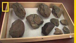 Oldest Known Stone Tools Discovered: 3.3 Million Years Old | National Geographic