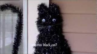 Black Cat Mystery