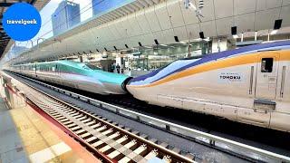 Japan's New Coupling Shinkansen Bullet Train Travel from Hokkaido to Tokyo