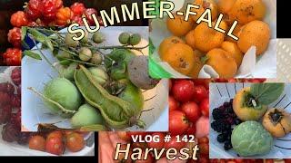 HARVEST tropical exotic fruits ￼filled with great health benefits.