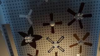 Roblox ceiling fan display store with beautiful designs