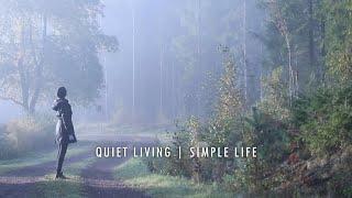 Autumn Forest Bathing in Sweden, Lagom Philosophy | Silent Vlog