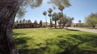 Midwest Arabians - The Beautiful Arabian Horses in Scottsdale, Arizona