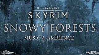 Snowy Forests | Wintery Skyrim Forest Music & Ambience | 3 Hours