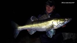 Beißzeit im Fluss! Kaltes Wetter, dicke Zander - [ZANDER ANGELN im Herbst]