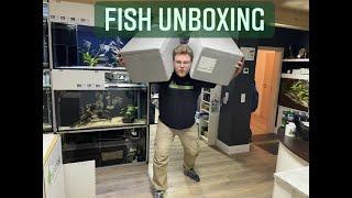 Fishtopia Fish Unboxing -1- mit Blattfisch