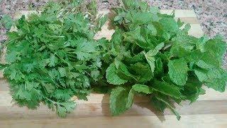 How to store Coriander and Mint Leaves for long time / kitchen tips