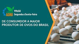 De consumidor a maior produtor de ovos do Brasil