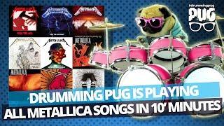 Drumming Pug - All Metallica songs in ten minutes