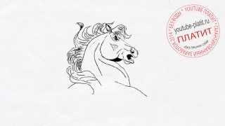 Смотреть как поэтапно нарисовать голову лошади  Учимся рисовать лошадь