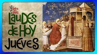 🟢 LAUDES DE HOY: JUEVES 21 de Noviembre 2024 Liturgia de las Horas