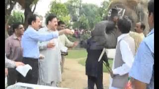 World Elephant Day & Suzi Birthday Ceremony In Lahore Zoo Pkg By City42