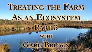 Treating the Farm as an Ecosystem Part 3 with Gabe Brown