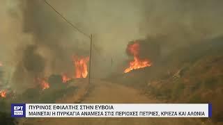 Μεγάλη φωτιά στην Εύβοια: Ανάμεσα στους οικισμούς Πετριές, Κριεζά και Αλώνια το κύριο μέτωπο