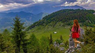 Întâlnire Singură cu Ursul | Traseu Măgura Mare | Piatra Craiului mai puțin cunoscută