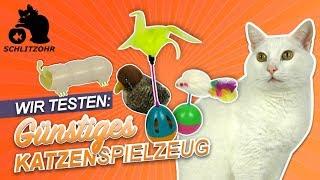 Katzenspielzeug Test | 5 günstige Katzen-Gadgets von Amazon im Test