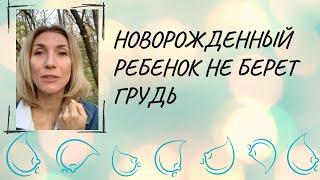 Новорожденный ребенок не берет грудь
