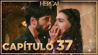 Hercai - Capítulo 37