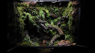 A Small Puddle In A Humid Jungle Dart Frog Paludarium