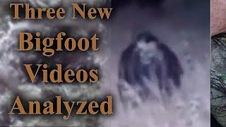 Incredible New Bigfoot videos Analyzed.  Sasquatch on all fours