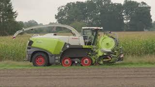 CLAAS | JAGUAR. A reliable partner by your side.