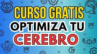  Cómo ENTRENAR y OPTIMIZAR tu Cerebro ⬆️ Neurociencia y Productividad Personal 