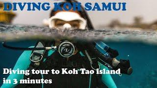 Diving Koh Samui - Diving Tour to Koh Tao Island for beginners & certify divers in 3 minutes.