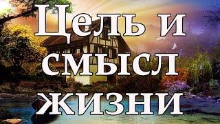 Цель и смысл жизни