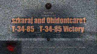 szkaraj and Ohidontcare1 toon T-34-85 and T-34-85 Victory