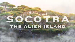 The Alien Island on Earth: Hindi short documentary