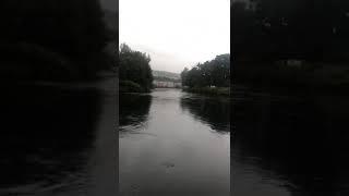 My papa catching a salmon at the river leven