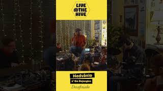 Desafinado - Live at the Hive - Hedvanio and the Bojangles