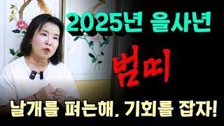 2025년 범띠 미리보는 운세! 용군TV 황금사