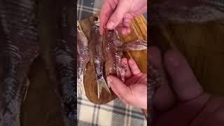 Самая сочная Астраханская вобла