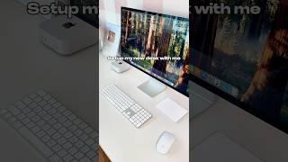 M4 Mac Mini Desk Setup!!