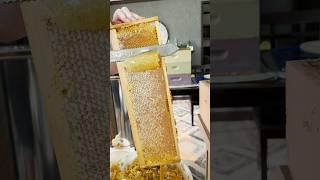 Uncapping Late Season Honey!  #beekeeping #homesteading