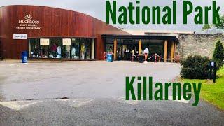 National Park Killarney|waterfall and Muckross house|Travel with Atiq