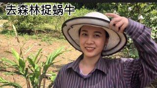 一种生活在山上的奇怪蜗牛”山里面的螺蛳”