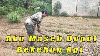 Aku Maseh Dopot Bekebun Agi | Guru Besar Official Video