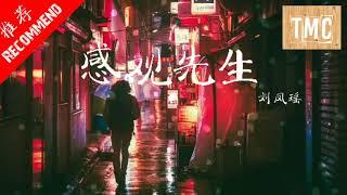 [ 抖音新歌 ] 刘凤瑶 - 感官先生  高音质 [ 动态歌词 ]