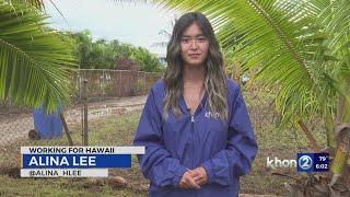 'Fish swimming in our backyards:' Flooding causes extensive damage to Ewa Beach Homes