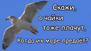 Очень трогательный стих - до слёз "предательство"