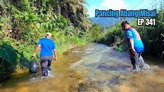 Menjala ikan Tengas Batang Sebarau Sia dan Tengas daun di Tapah perak