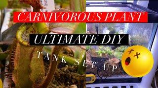 Ultimate DIY Nepenthes Carnivorous Plant Tank Set UP