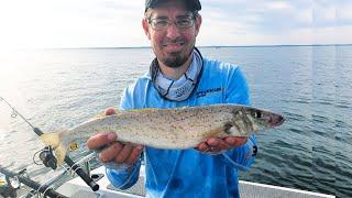 Western Port Whiting Fishing - Quest for the 50cm Whiting